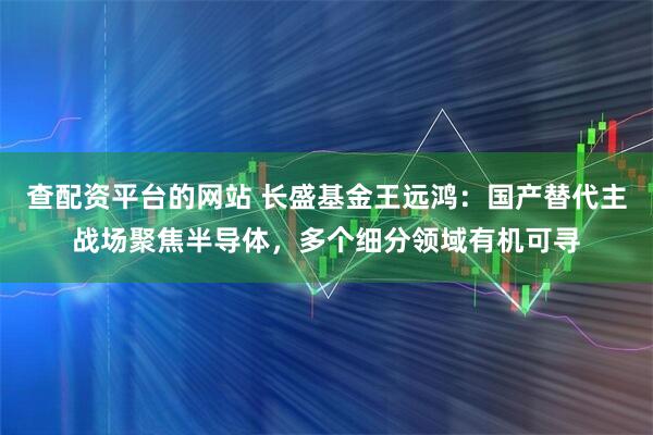 查配资平台的网站 长盛基金王远鸿：国产替代主战场聚焦半导体，多个细分领域有机可寻