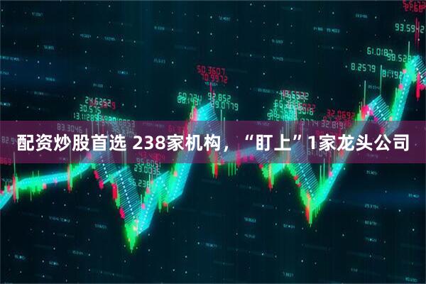 配资炒股首选 238家机构，“盯上”1家龙头公司